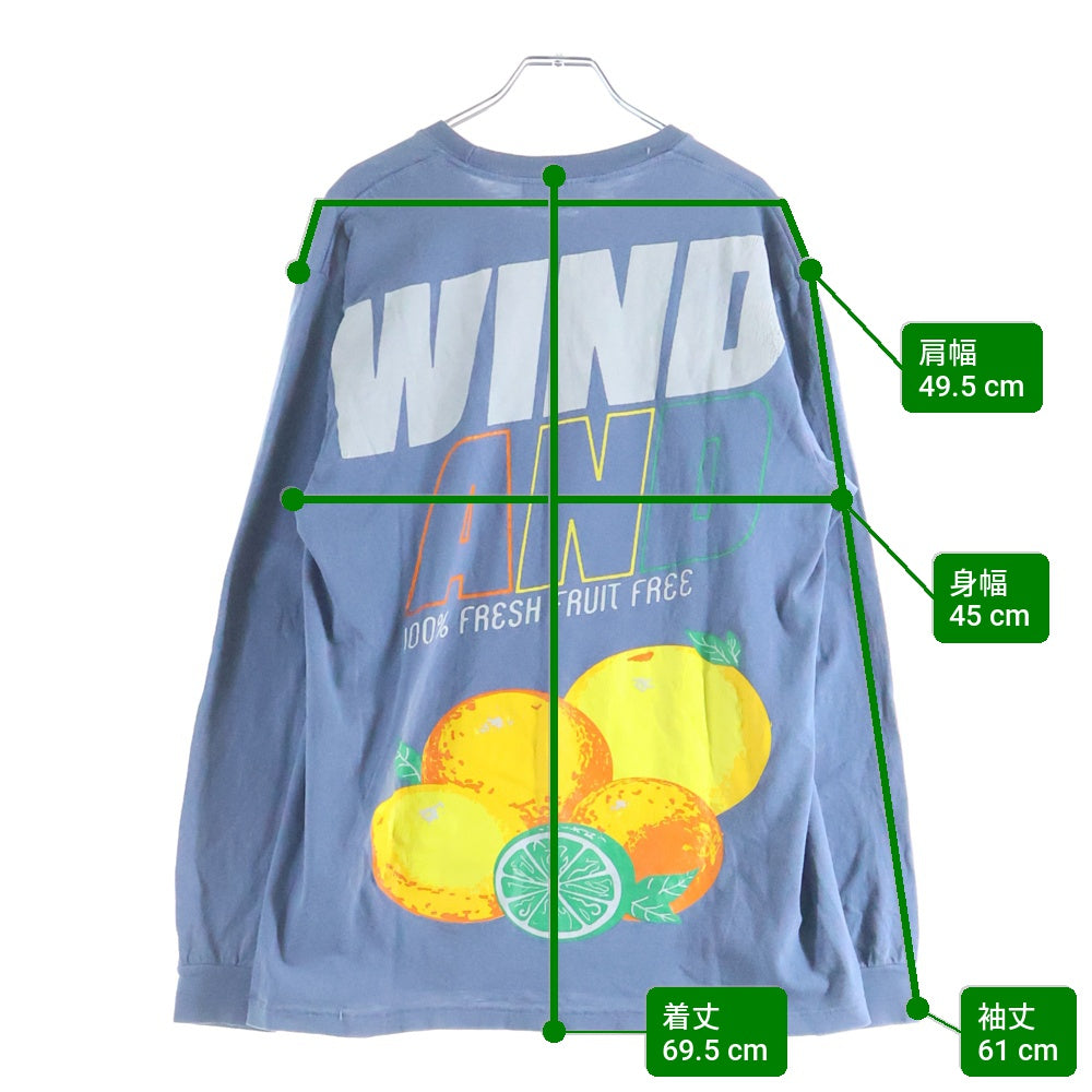 WIND AND SEA(ウィンダンシー) 21SS Juicy Fresh Tee ジューシー フレッシュ クルーネック ロングスリーブ 長袖Tシャツ カットソー ブルー WDS-21S-TPS-04