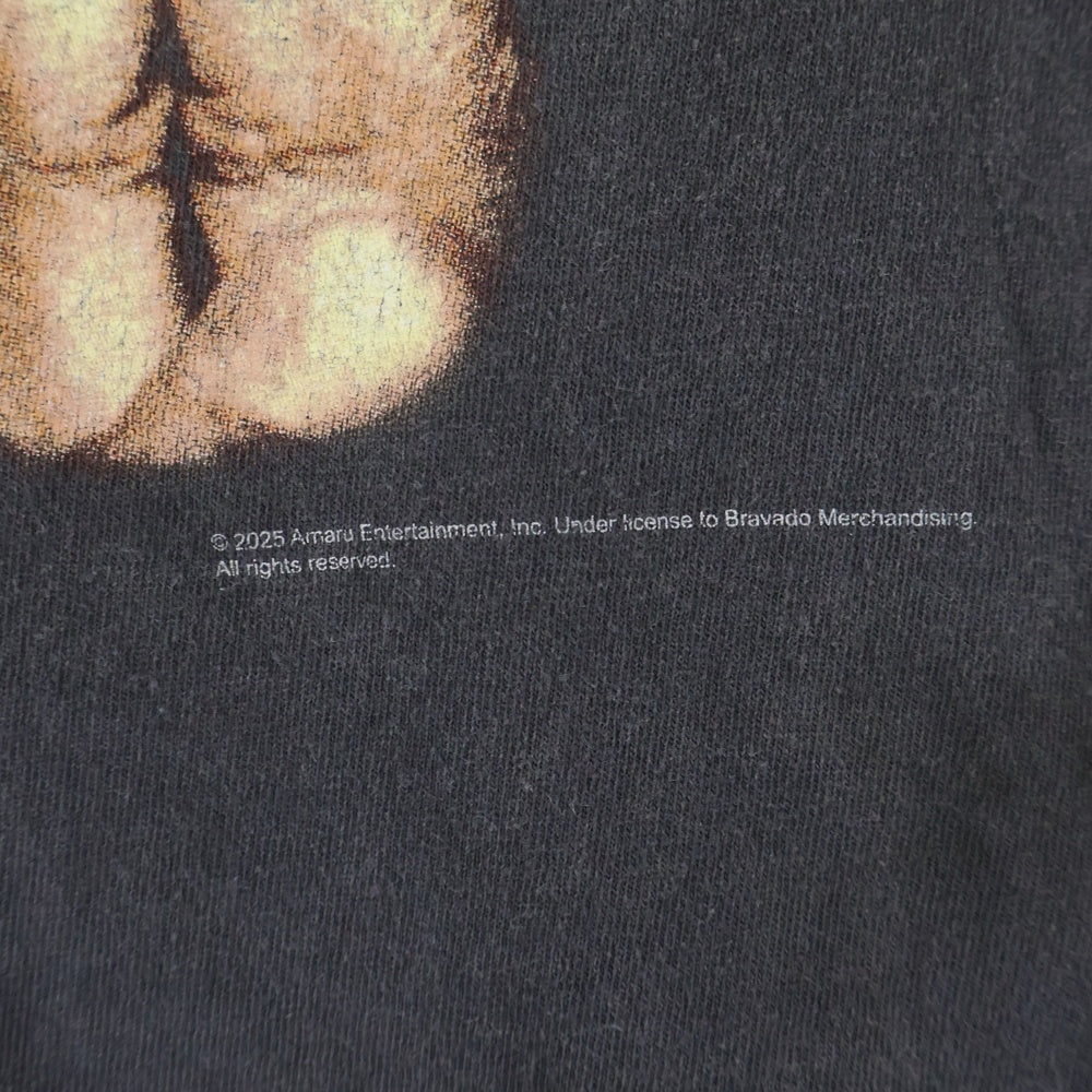 SAINT MICHAEL(セントマイケル) 25SS 2PAC 2PC SS TEE 2パック プリントクルーネック半袖Tシャツ グレー SM-HR8-0000-C14