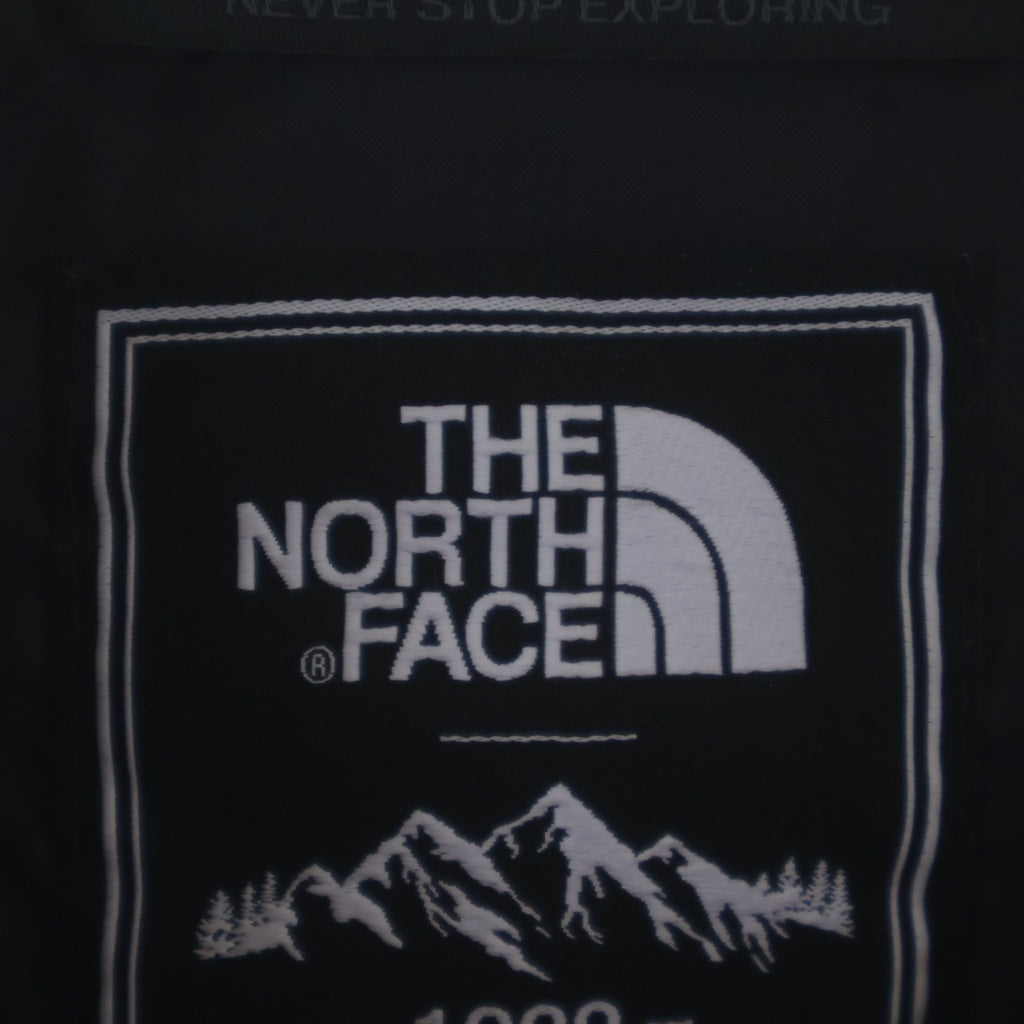 THE NORTH FACE(ザノースフェイス) GORE-TEX NOVELTY ECO GTX MOUNTAIN JACKET ゴアテックス ノベルティ エコ ペイズリー マウンテンパーカー ブラック NJ2GN60A
