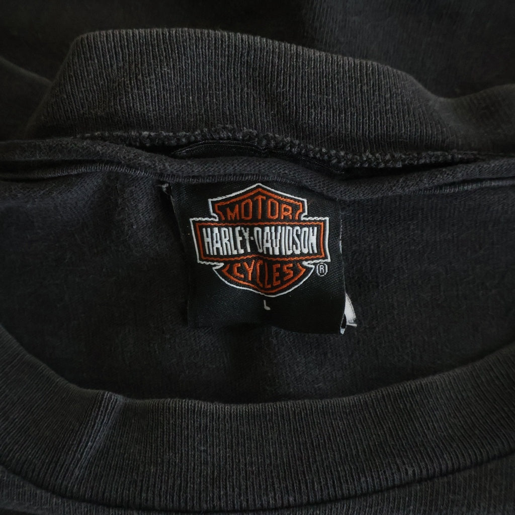 HARLEY DAVIDSON(ハーレーダビッドソン) 00s Eagle Lightning L/S Tee イーグル ライトニング クルーネック 長袖Tシャツ ブラック
