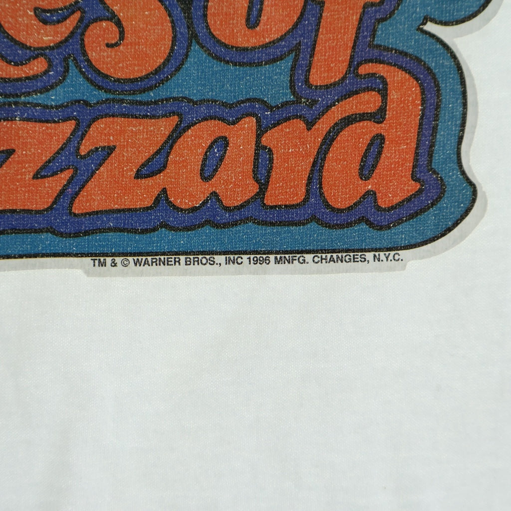 VINTAGE(ヴィンテージ) 90s The Dukes of Hazzard ザ・デュークス・オブ・ハザード フロントプリント リンガー 半袖Tシャツ カットソー ホワイト