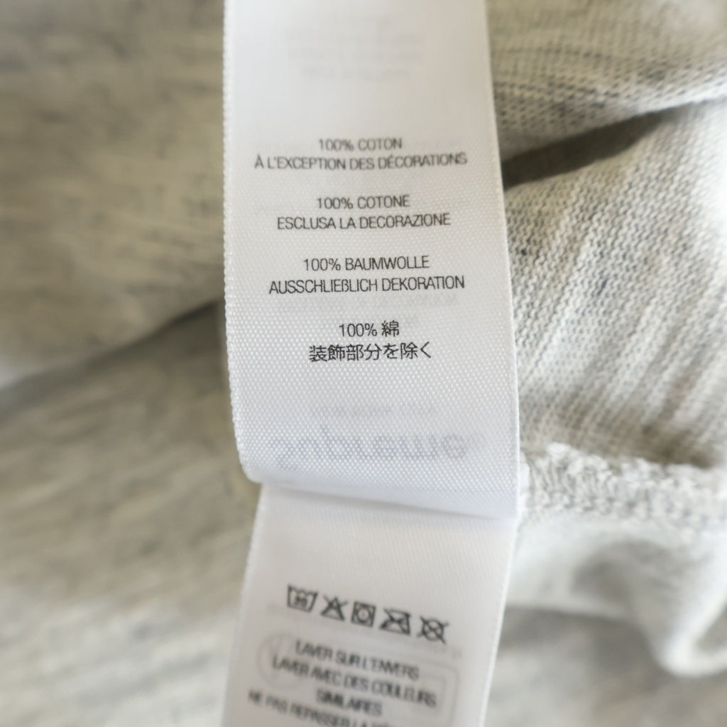SUPREME(シュプリーム) 25AW Collegiate Applique S/S Top カレジエイトアップリケ フロントロゴ刺繍 半袖Tシャツ カットソー グレー