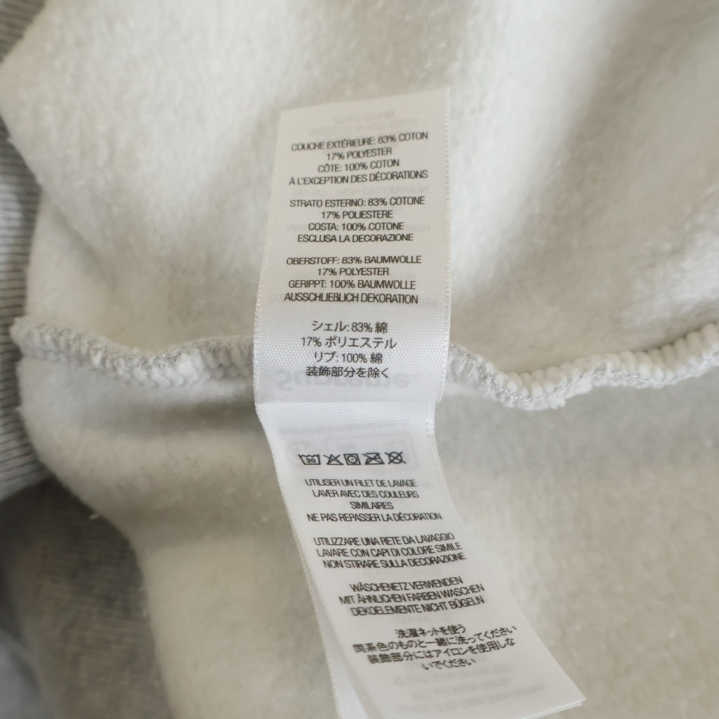SUPREME(シュプリーム) 25AW Dash Snow Hooded Sweatshirt ダッシュスノー 両面プリント プルオーバーパーカー フーディー グレー