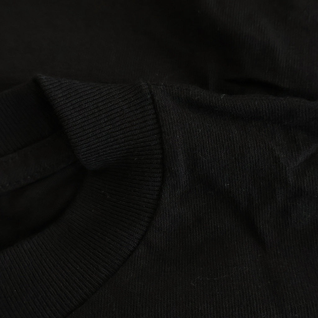 NO BRAND(ノーブランド) 【BLIND ブラインド】HERITAGE JASON LEE DODO HALK SKULL TEE ヘリテージ ジェイソンリー ホーク スカルプリント クルーネック 半袖Tシャツ カットソー