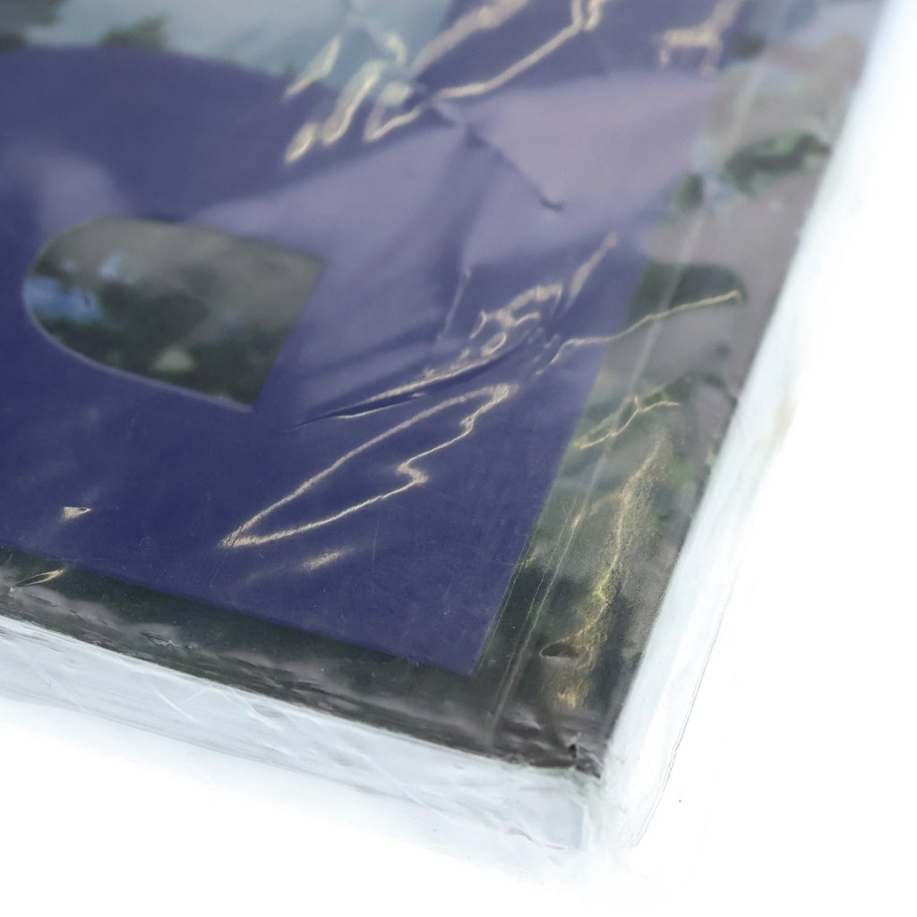 Palace Skateboards(パレススケートボーズ) Palsonic Magazine パラソニック マガジン マルチ