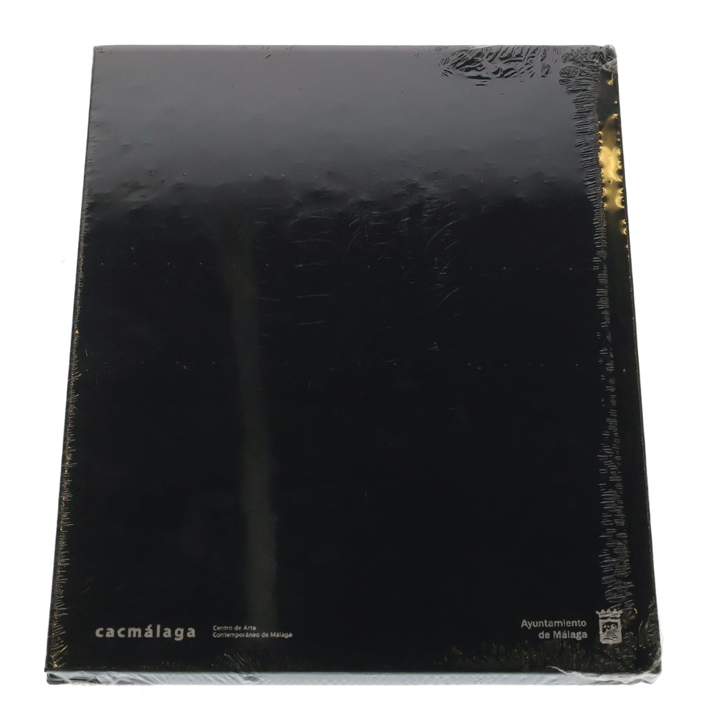 KAWS(カウズ) 2014 Final Days Black Book Very Rare Limited Museum Print マラガ美術館 写真集