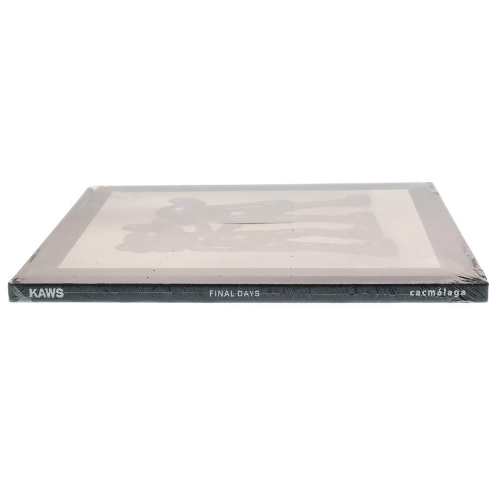 KAWS(カウズ) 2014 Final Days Black Book Very Rare Limited Museum Print マラガ美術館 写真集