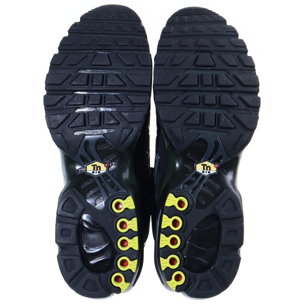 NIKE(ナイキ) Air Max Plus Black Tiger エアマックス プラス ブラックタイガー ローカットスニーカー ブラック/シルバー US11/29.0cm 852630-039