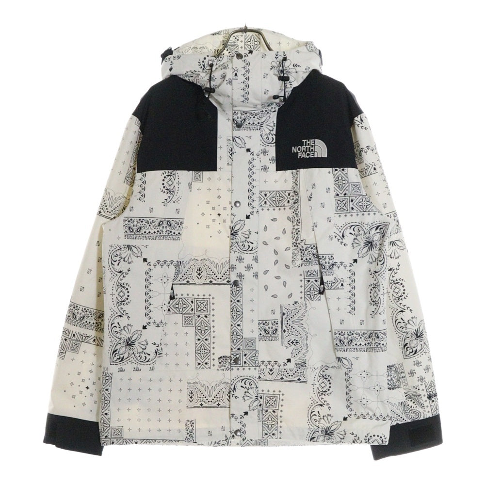 THE NORTH FACE(ザノースフェイス) NOVELTY ECO GTX MOUNTAIN JACKET GORE-TEX NJ2GN60C ゴアテックス マウンテンジャケット ペイズリー ホワイト