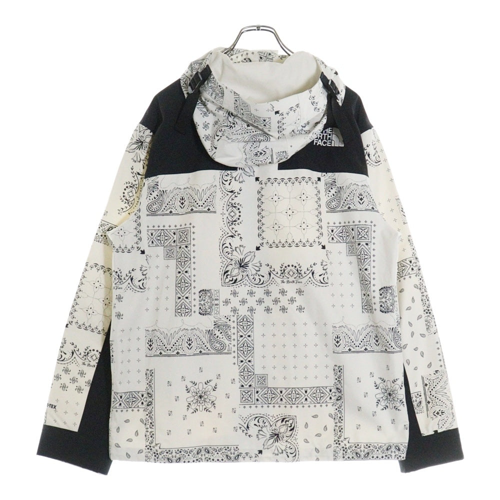 THE NORTH FACE(ザノースフェイス) NOVELTY ECO GTX MOUNTAIN JACKET GORE-TEX NJ2GN60C ゴアテックス マウンテンジャケット ペイズリー ホワイト