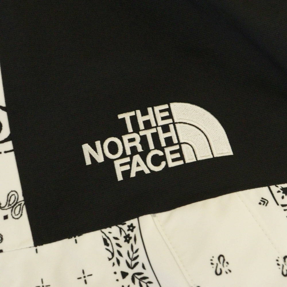 THE NORTH FACE(ザノースフェイス) NOVELTY ECO GTX MOUNTAIN JACKET GORE-TEX NJ2GN60C ゴアテックス マウンテンジャケット ペイズリー ホワイト