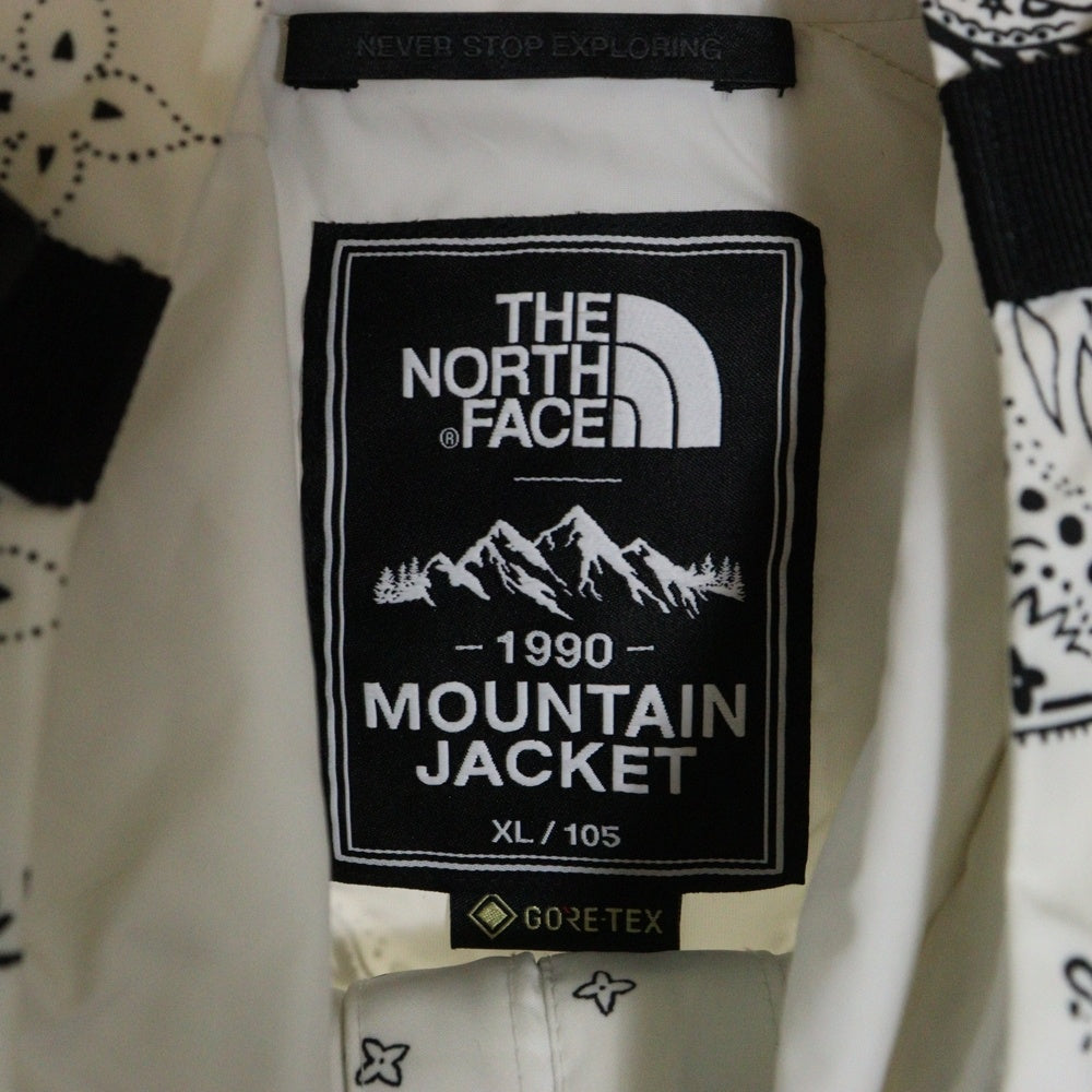 THE NORTH FACE(ザノースフェイス) NOVELTY ECO GTX MOUNTAIN JACKET GORE-TEX NJ2GN60C ゴアテックス マウンテンジャケット ペイズリー ホワイト