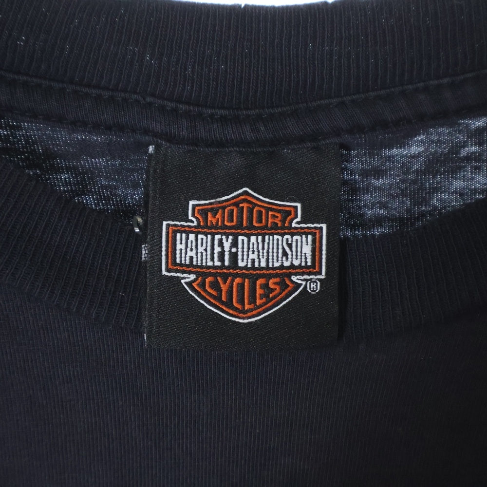 HARLEY DAVIDSON(ハーレーダビッドソン) 00s USA製 MOUNT MCKINLEY 両面プリントTシャツ 半袖カットソー ブラック