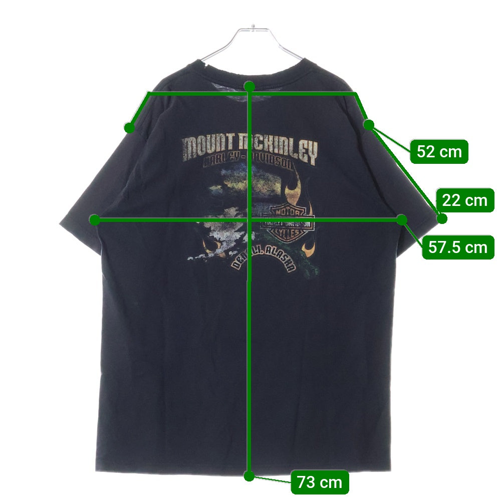 HARLEY DAVIDSON(ハーレーダビッドソン) 00s USA製 MOUNT MCKINLEY 両面プリントTシャツ 半袖カットソー ブラック