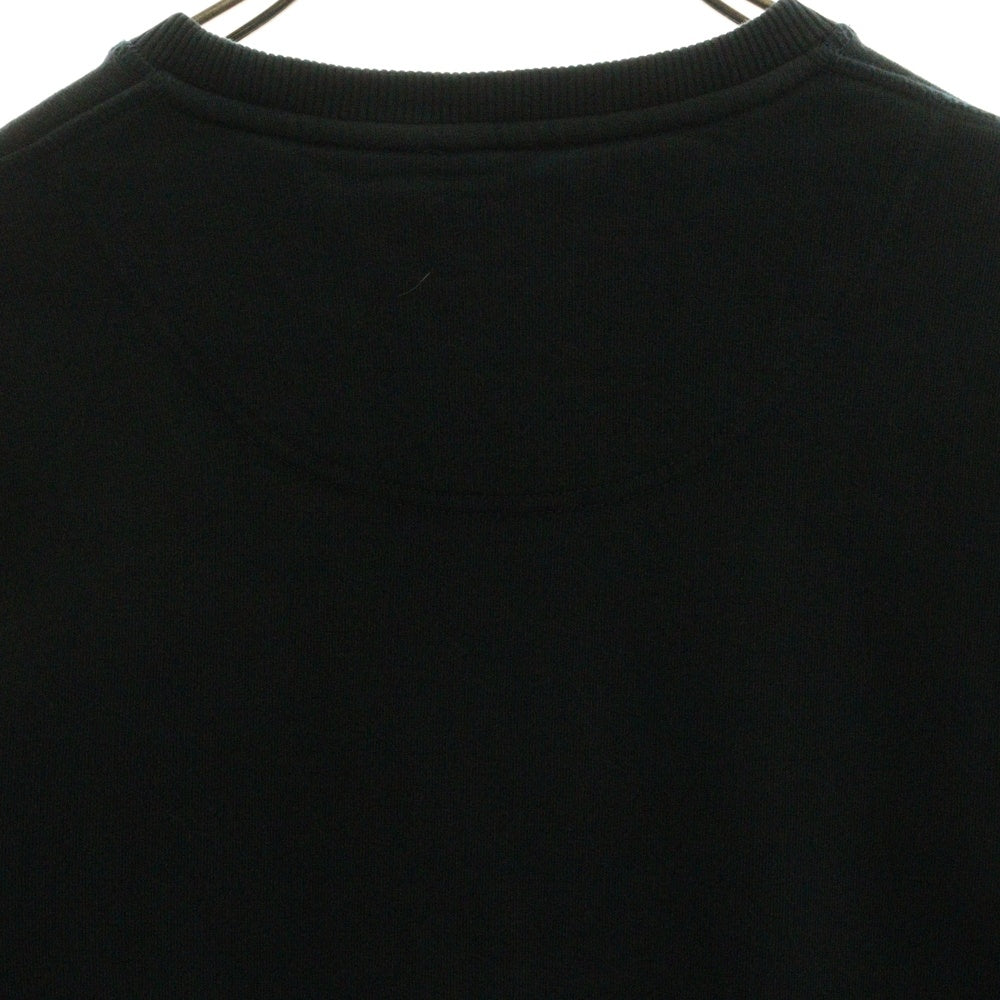 KENZO(ケンゾー) Unbushed Tiger Sweat クルーネックトレーナー スウェット ブルー F565SW0014XC