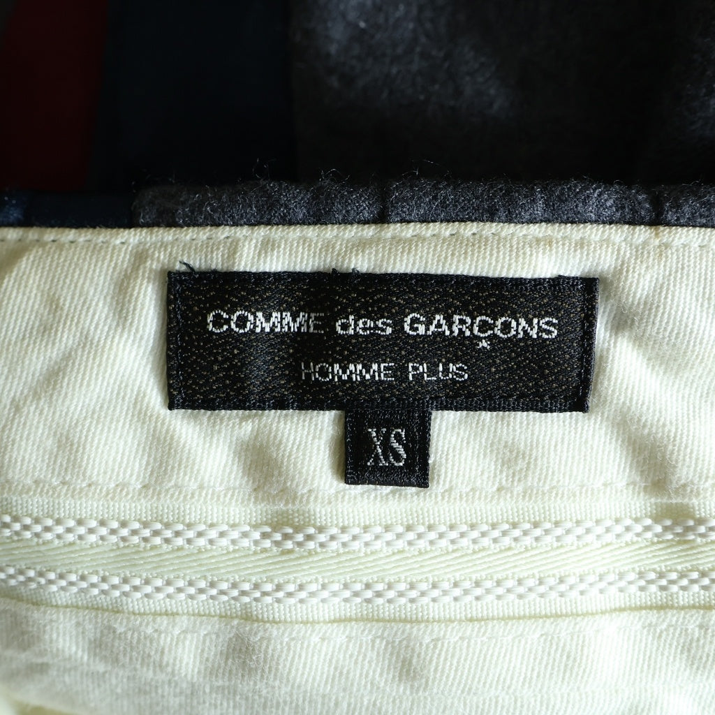 COMME des GARCONS HOMME PLUS(コムデギャルソンオムプリュス) 21AW ウールスラックス サイドライン ジッパーフライ グレー PH-P038