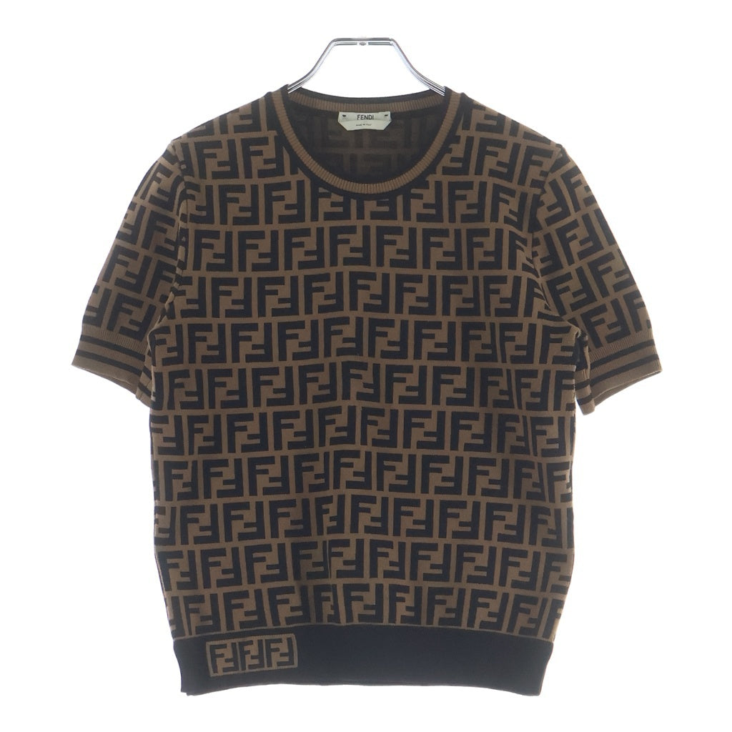 FENDI(フェンディ) FFロゴ ズッカ柄 半袖ニット ブラウン/ブラック FZY702 A5QG レディース