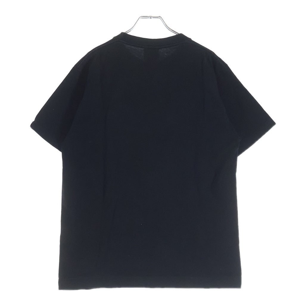 A BATHING APE(アベイシングエイプ) 90s グラデーション サルカモロゴ 半袖Tシャツ カットソー ブラック/グリーン