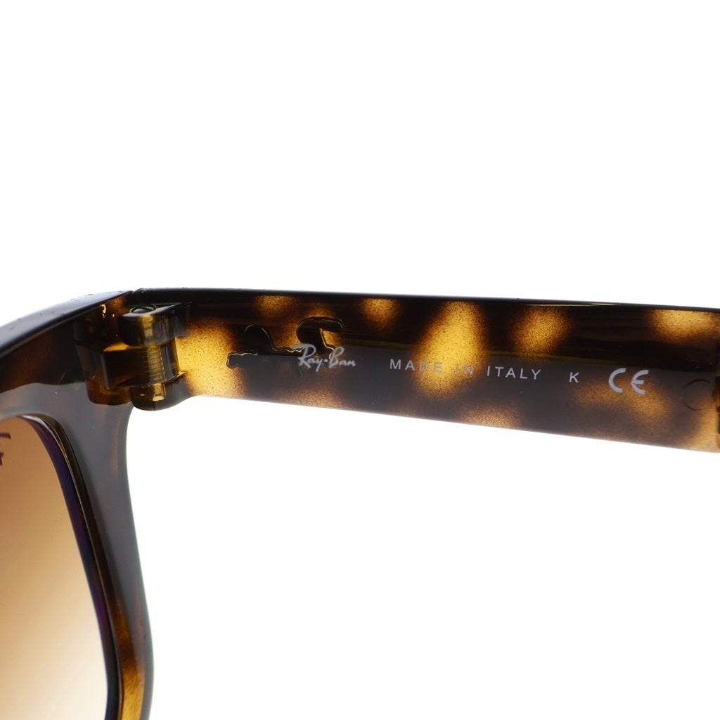 Ray Ban(レイバン) WAYFARER FOLDING CLASSIC サングラス アイウェア 折り畳み式 ブラック/ブラウン RB4105