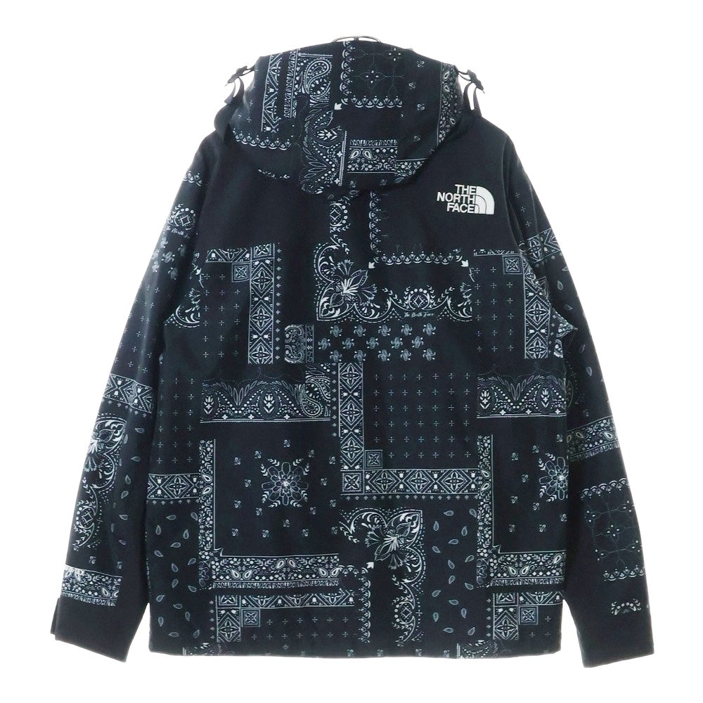 THE NORTH FACE(ザノースフェイス) NOVELTY GTX MOUNTAIN JACKET GORE-TEX ゴアテックス ペイズリー柄 ノベルティ マウンテンジャケット ブラック NJ2GN60A