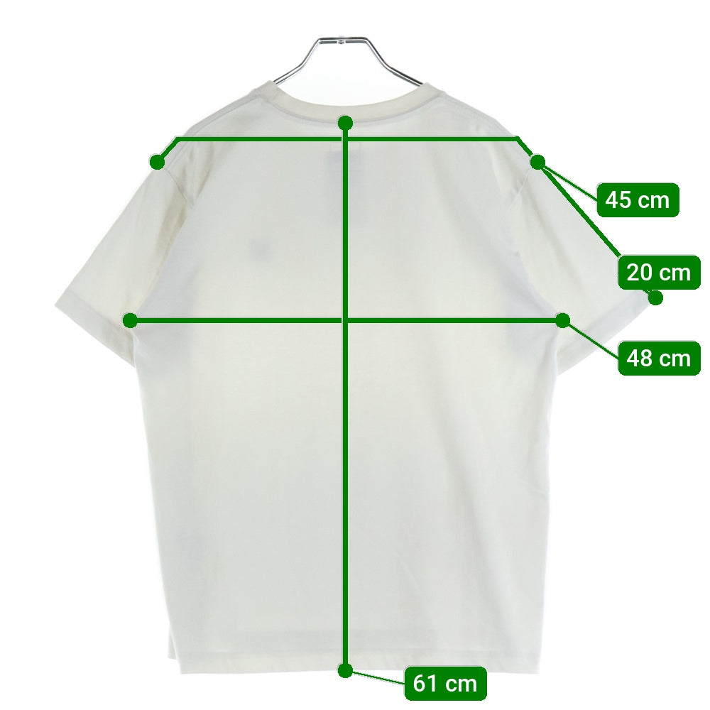 THE NORTH FACE(ザノースフェイス) NT32147 Small Box Logo Tee 半袖Tシャツ アイボリー