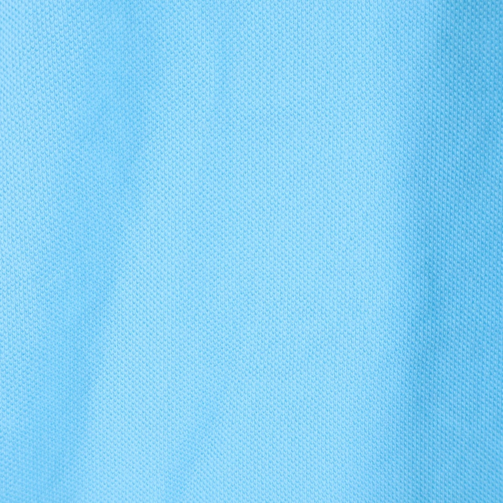 POLO RALPH LAUREN(ポロラルフローレン) ポニーロゴ刺繍半袖シャツ ブルー