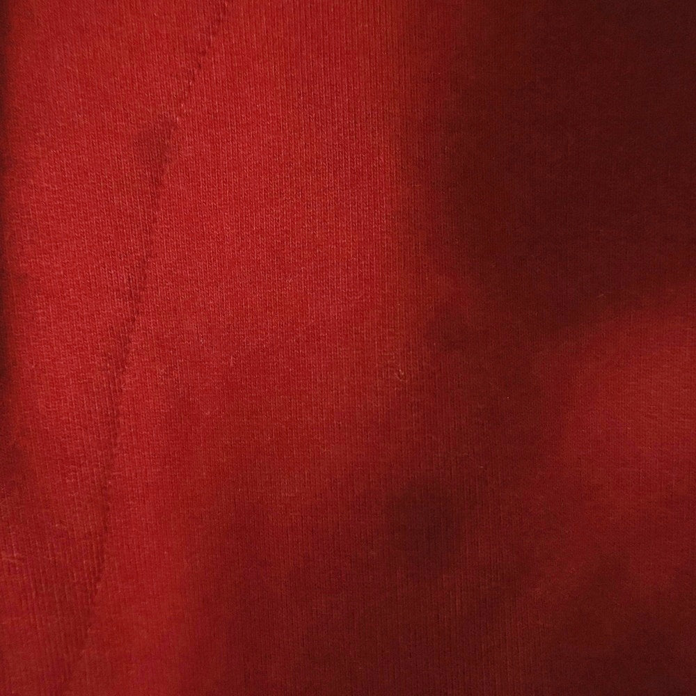 VETEMENTS(ヴェトモン) 16AW INSIDE OUT インサイドアウト ハーフジップ スウェット ボルドー MAH19TR214