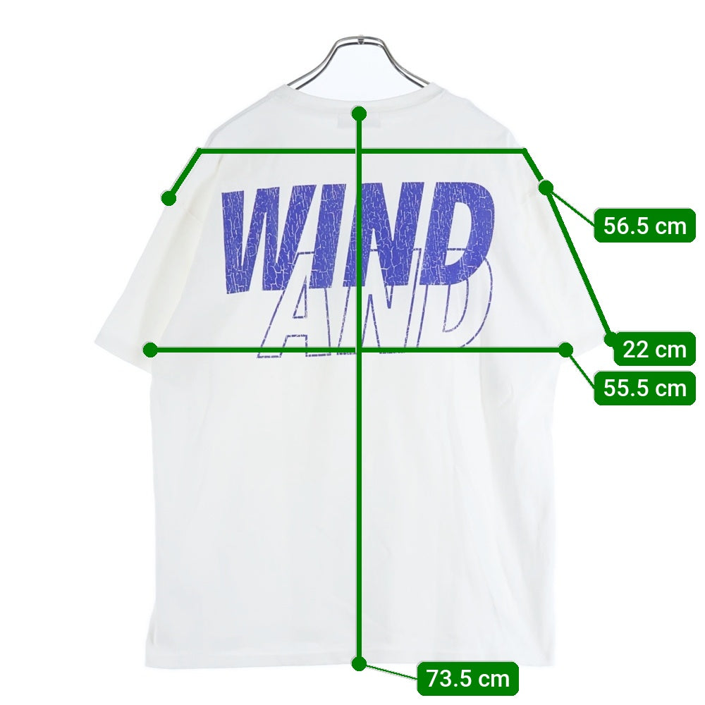 WIND AND SEA(ウィンダンシー) CRACK P DYE TEE WDS-O-SEA-23-Q4-CS-01 クラックプリント 半袖Tシャツ カットソー ホワイト