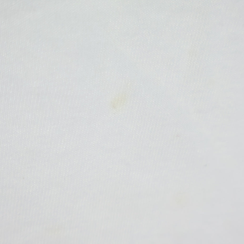 CHROME HEARTS(クロムハーツ) OLD L/S オールド 袖フローラル ヴァインダガーホースシュープリント 長袖Tシャツカットソー ホワイト