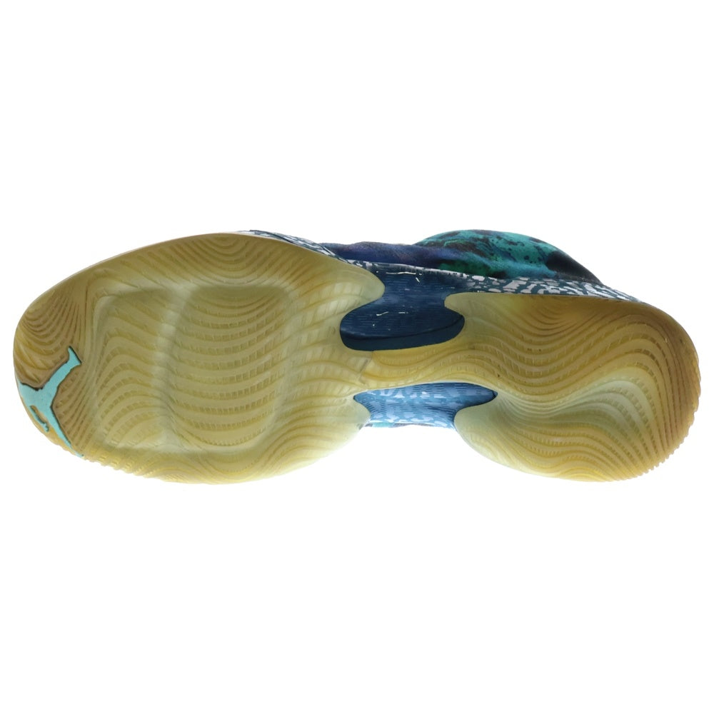 NIKE(ナイキ) 【観賞用2015年製】 AIR JORDAN XX9 YEAR OF THE GOAT エアジョーダンXX9 イヤー オブ ザ ゴート 727134-407 US8.5/26.5cm ブルー