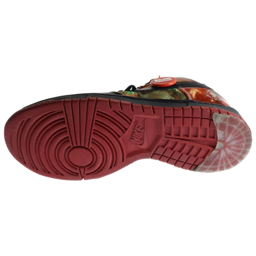 NIKE(ナイキ) 【観賞用 2005年製】 DUNK SB PUSHEAD ダンクエスビー パスヘッド ローカットスニーカー マルチ US7.5/25.5cm 313233-001