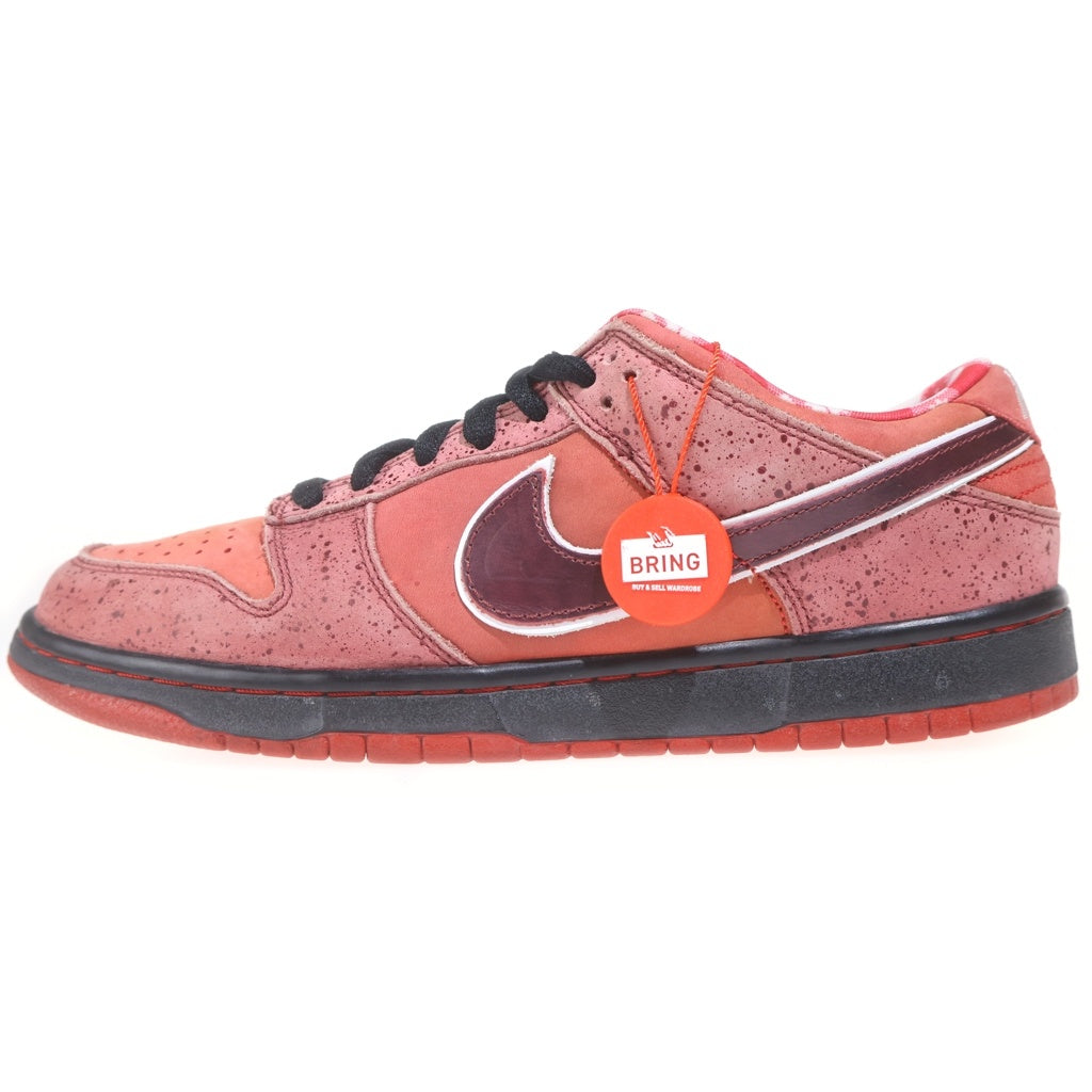 NIKE SB(ナイキエスビー) 【観賞用 2008年製】×CONCEPTS DUNK LOW RED