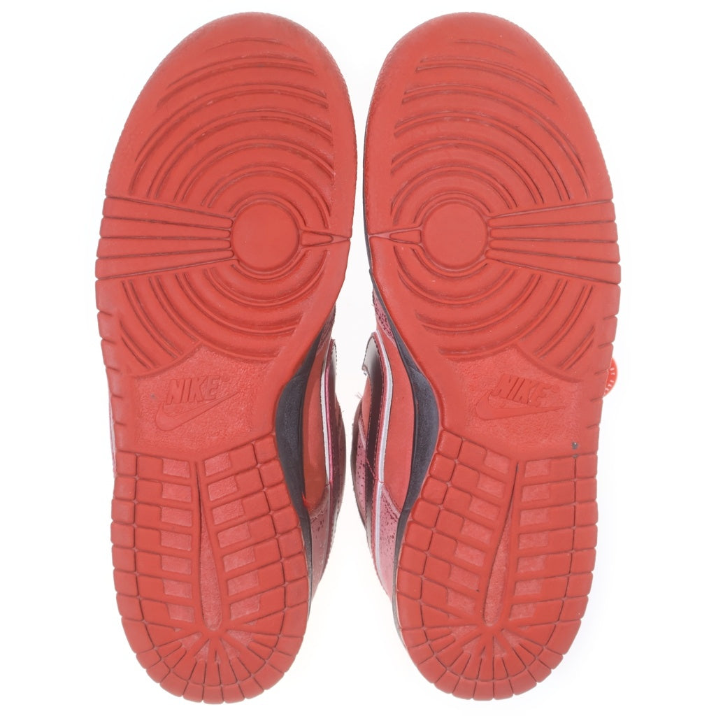 NIKE SB(ナイキエスビー) 【観賞用 2008年製】×CONCEPTS DUNK LOW RED LOBSTER 313170-661 コンセプツ ダンク レッドロブスター ローカットスニーカー US9/27.0cm レッド