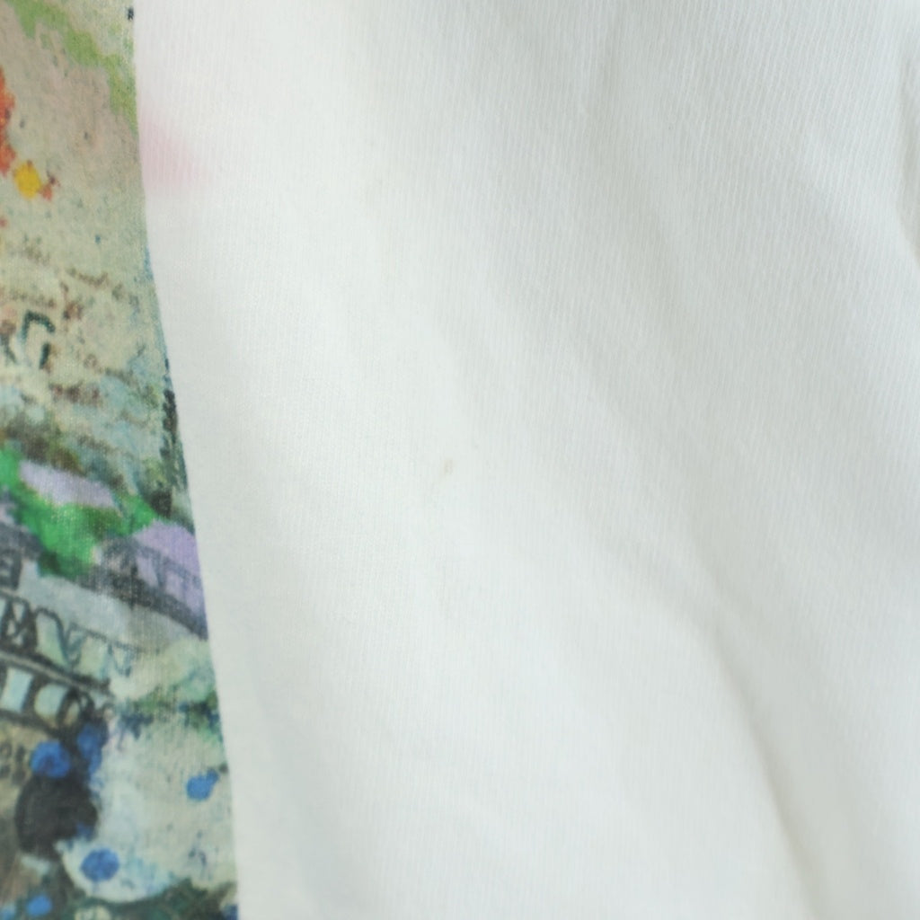 GALLERY DEPT.(ギャラリーデプト) Mt Marci Allegolies Photo L/S Tee マウントマーシーアレゴリーロングスリーブ長袖Tシャツ ホワイト