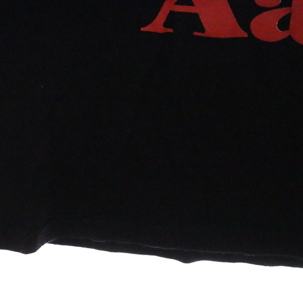 VINTAGE(ヴィンテージ) 00s Aaliyah Dana Haughton TRY AGAIN アリーヤ トライアゲイン 追悼Tシャツ 半袖カットソー ブラック