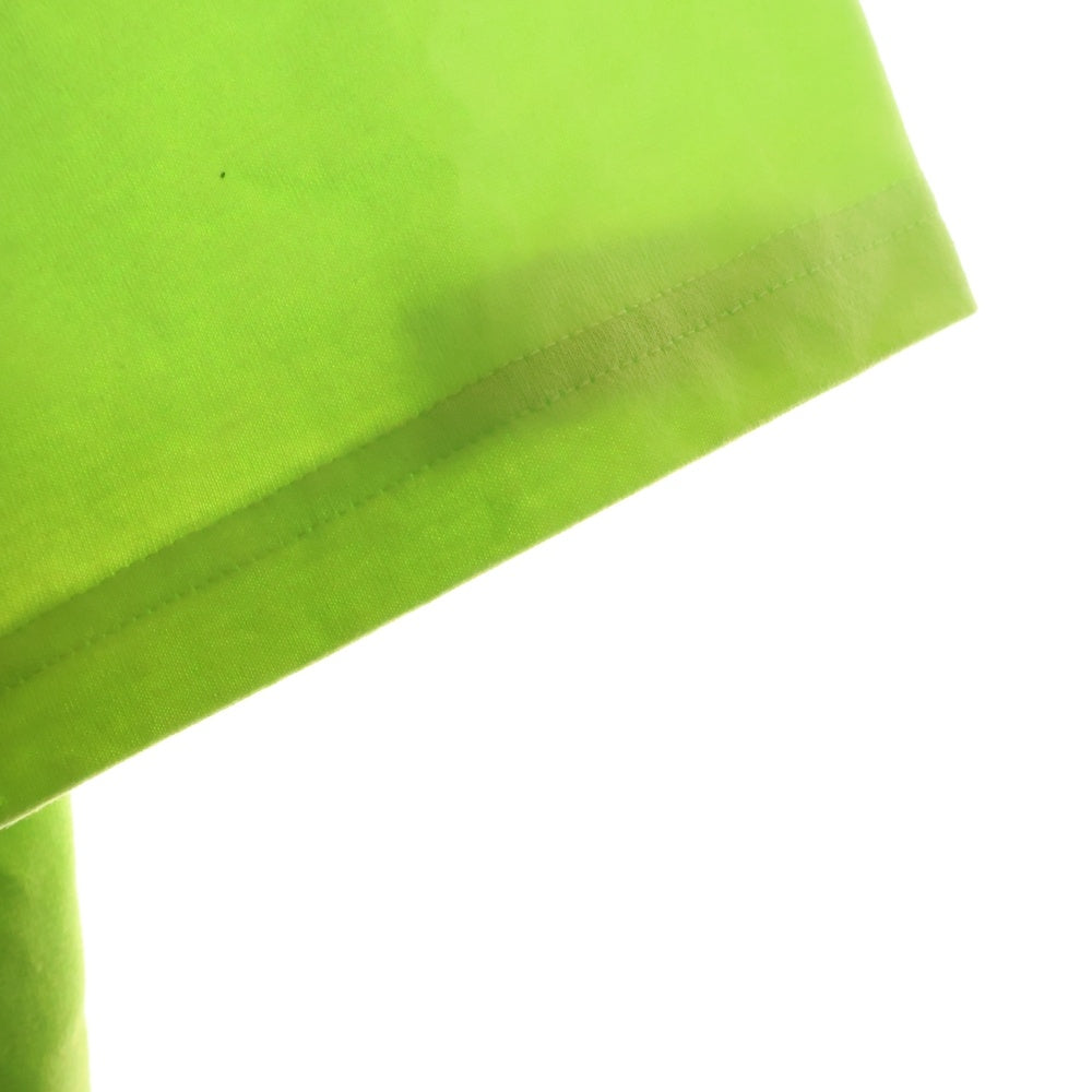 THE NORTH FACE(ザノースフェイス) バックプリント クルーネック半袖Tシャツ ライトグリーン