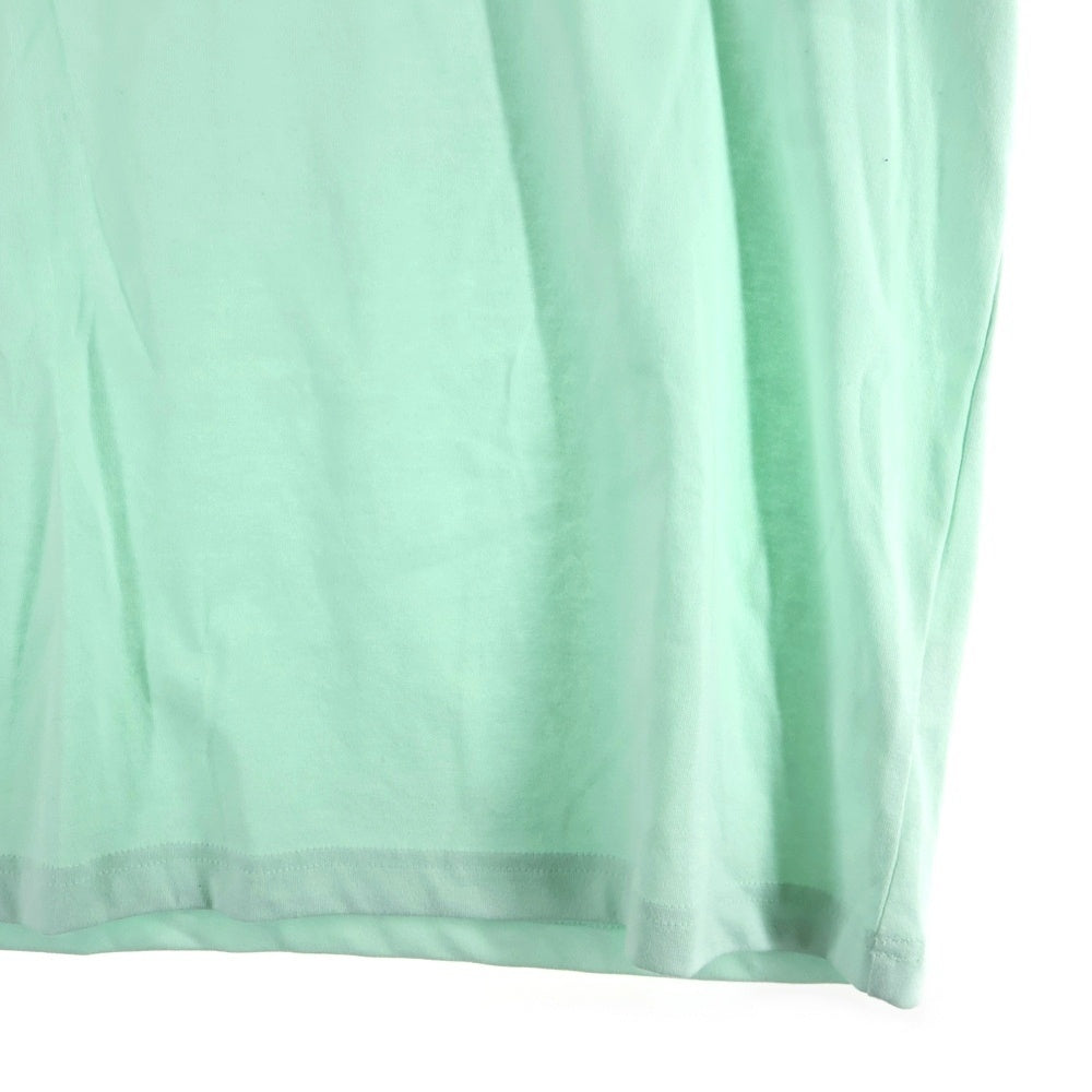 THE NORTH FACE(ザノースフェイス) フロントプリント クルーネック半袖Tシャツ ライトブルー