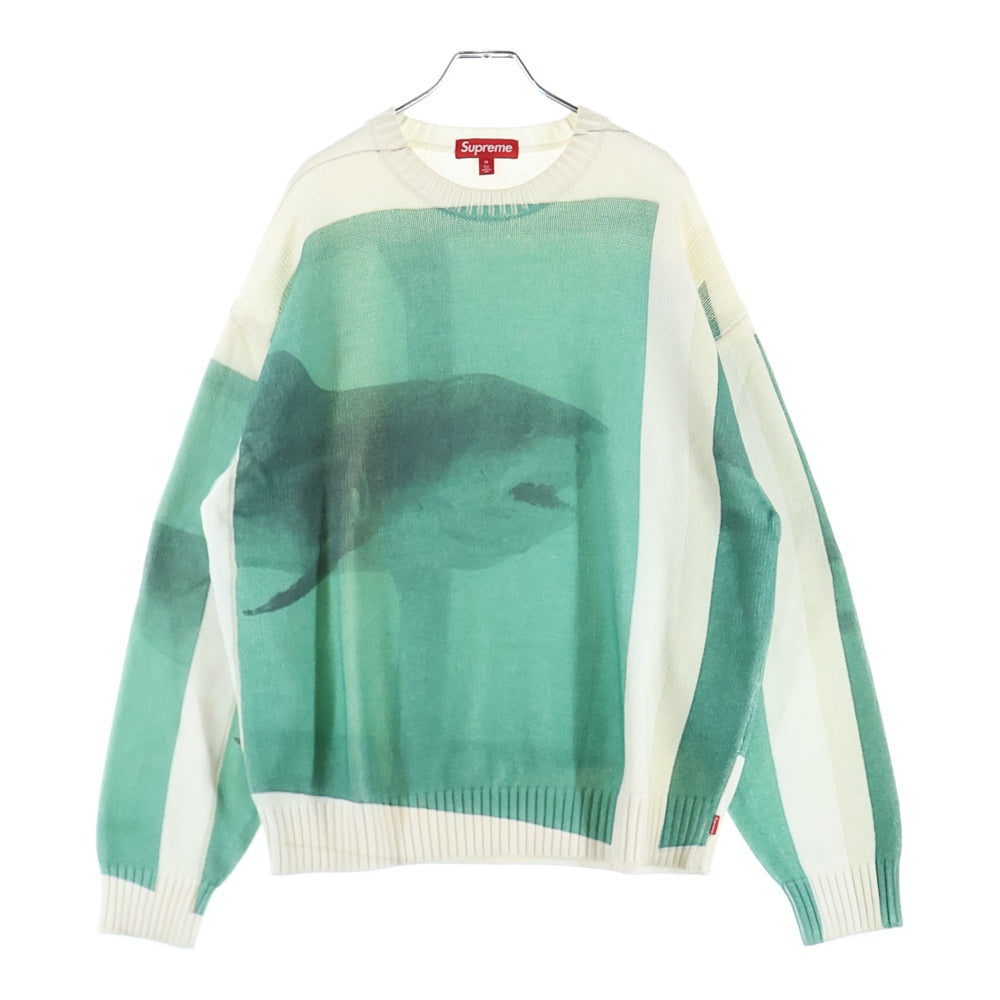 SUPREME(シュプリーム) 25SS Damien Hirst Sweater ダミアンハースト クルーネックニットセーター ホワイト/グリーン