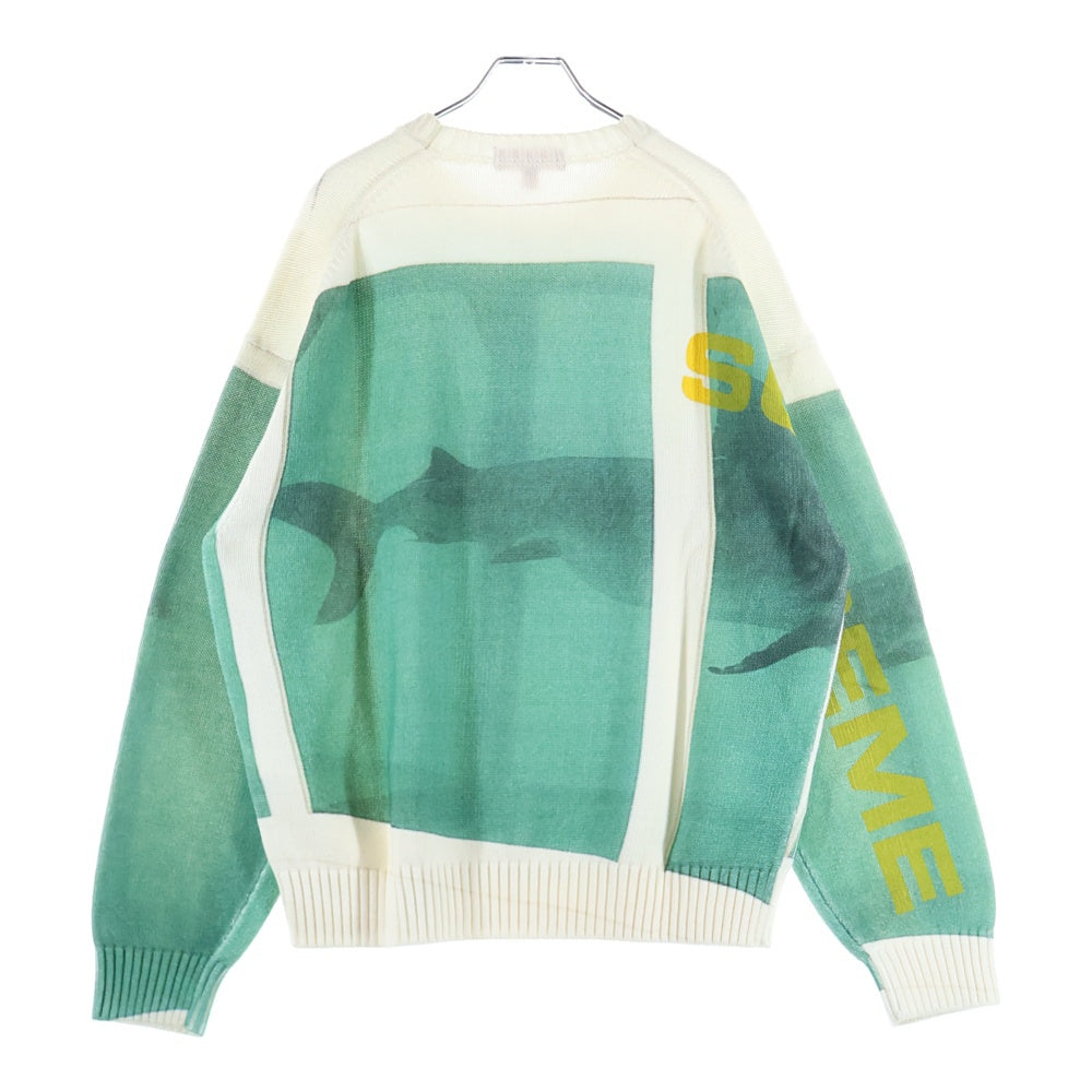 SUPREME(シュプリーム) 25SS Damien Hirst Sweater ダミアンハースト クルーネックニットセーター ホワイト/グリーン