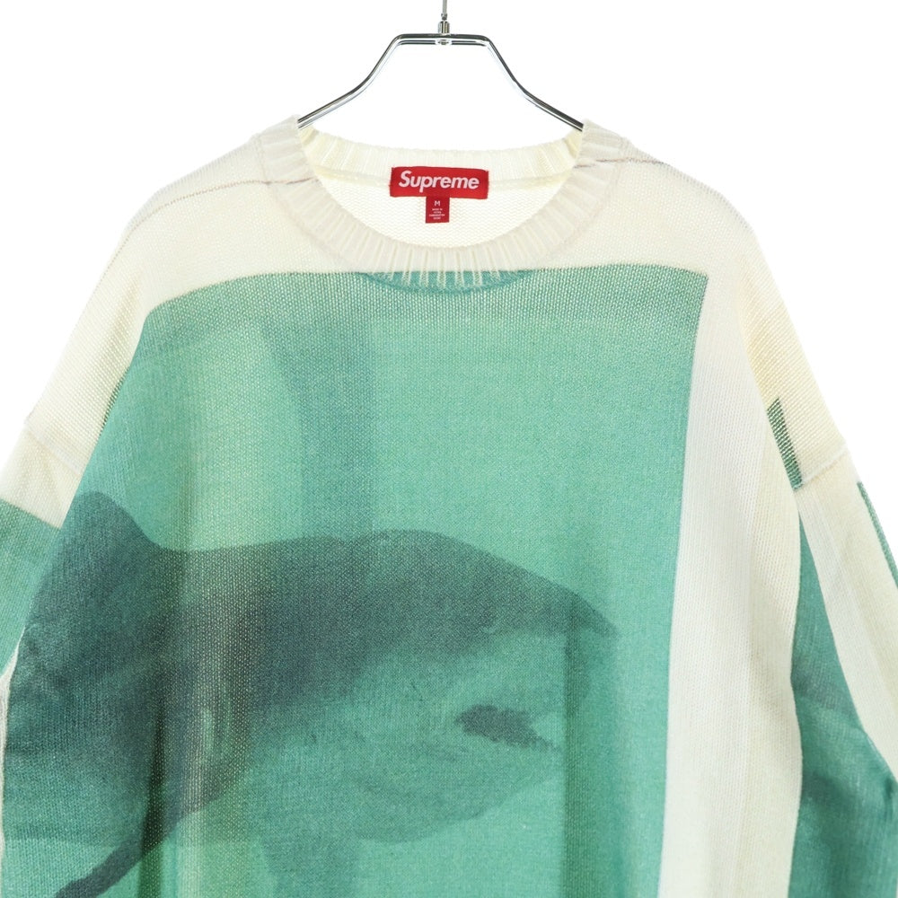 SUPREME(シュプリーム) 25SS Damien Hirst Sweater ダミアンハースト クルーネックニットセーター ホワイト/グリーン