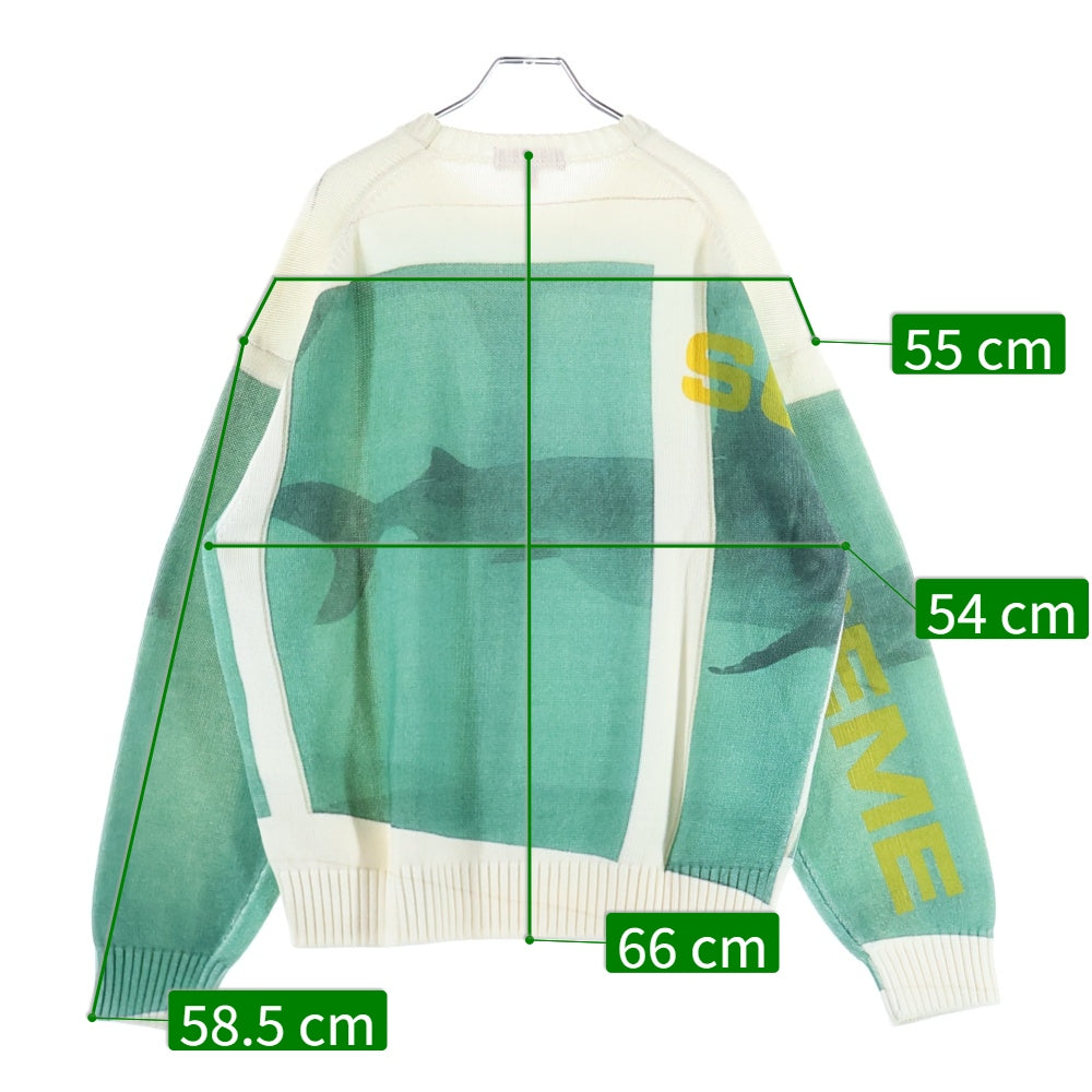 SUPREME(シュプリーム) 25SS Damien Hirst Sweater ダミアンハースト クルーネックニットセーター ホワイト/グリーン