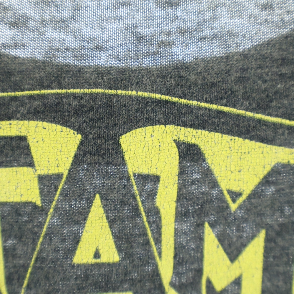 VINTAGE(ヴィンテージ) TESTAMENT 00s ツアー クルーネック Tシャツ