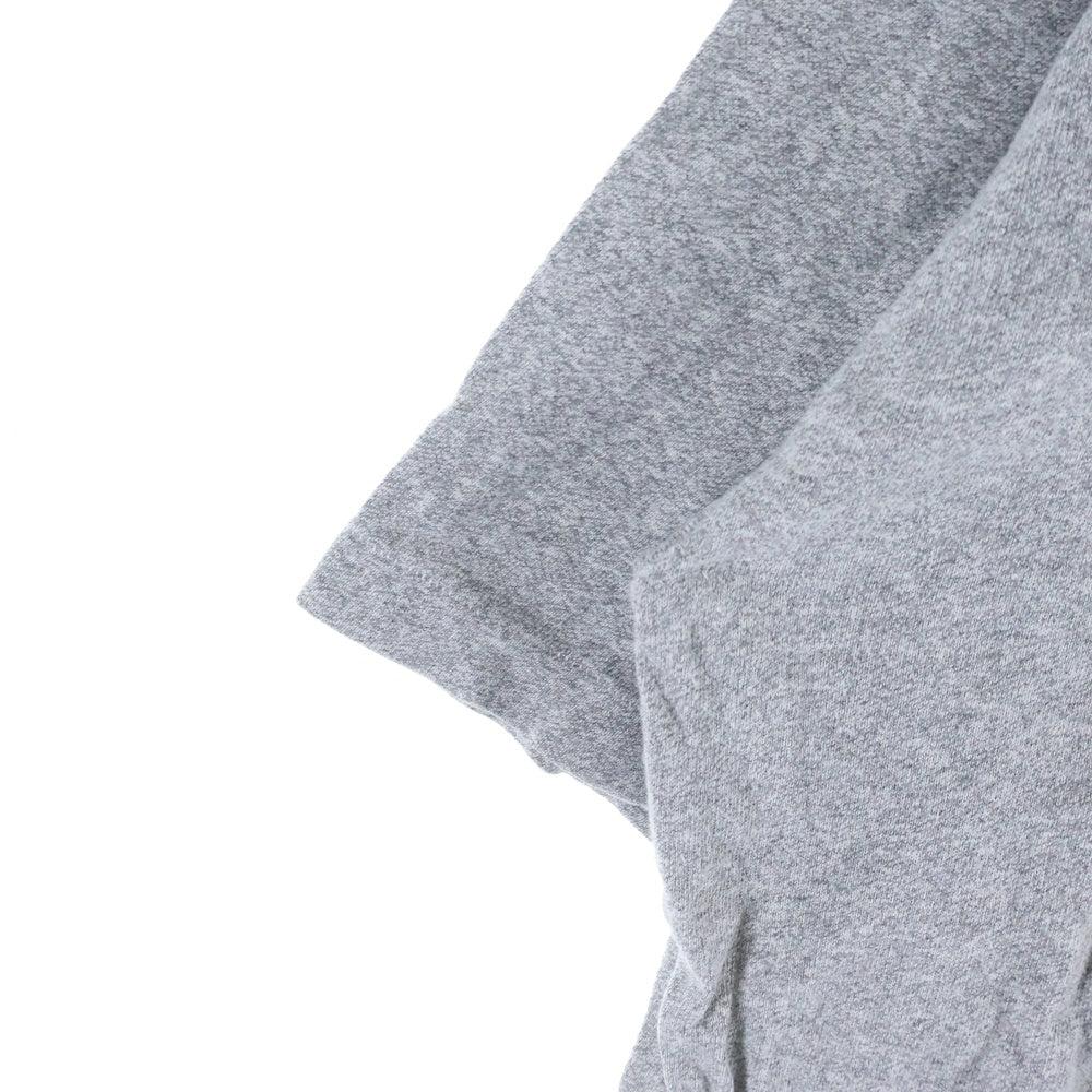 TENDERLOIN(テンダーロイン) 霜降り 染みこみ カレッジブランドロゴ 半袖Tシャツ グレー