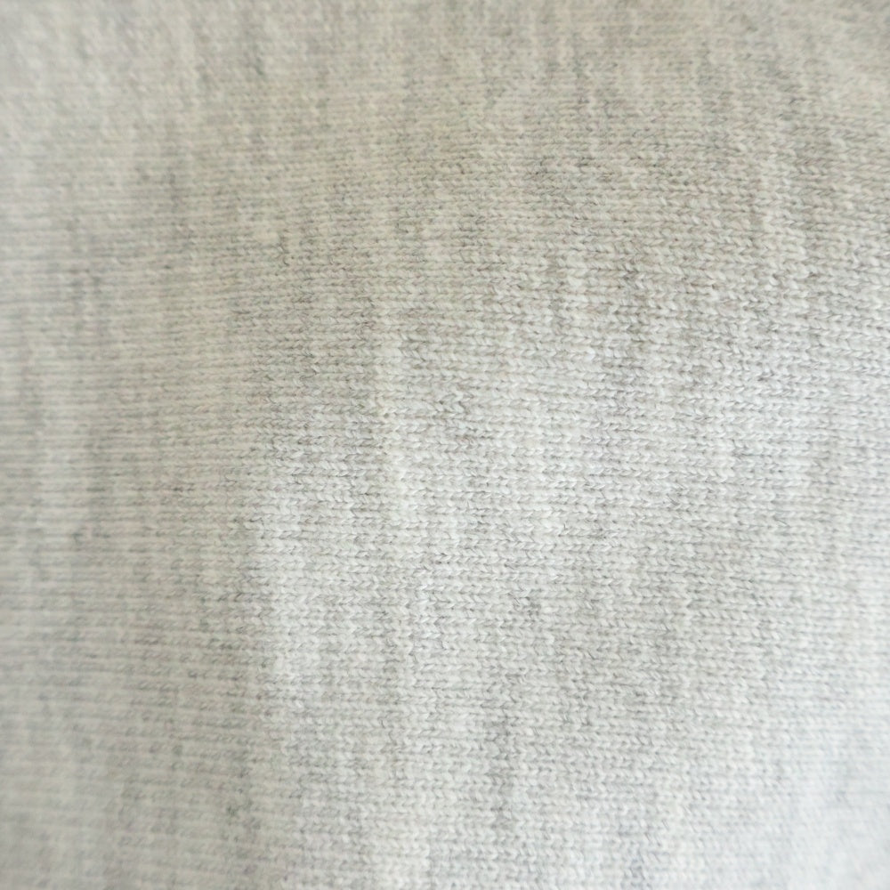 CHAMPION(チャンピオン) 90s-00s メキシコ製 REVERSE WEAVE BREWSTER ACADEMY 両面 裏B 2段 カレッジ スウェット グレー