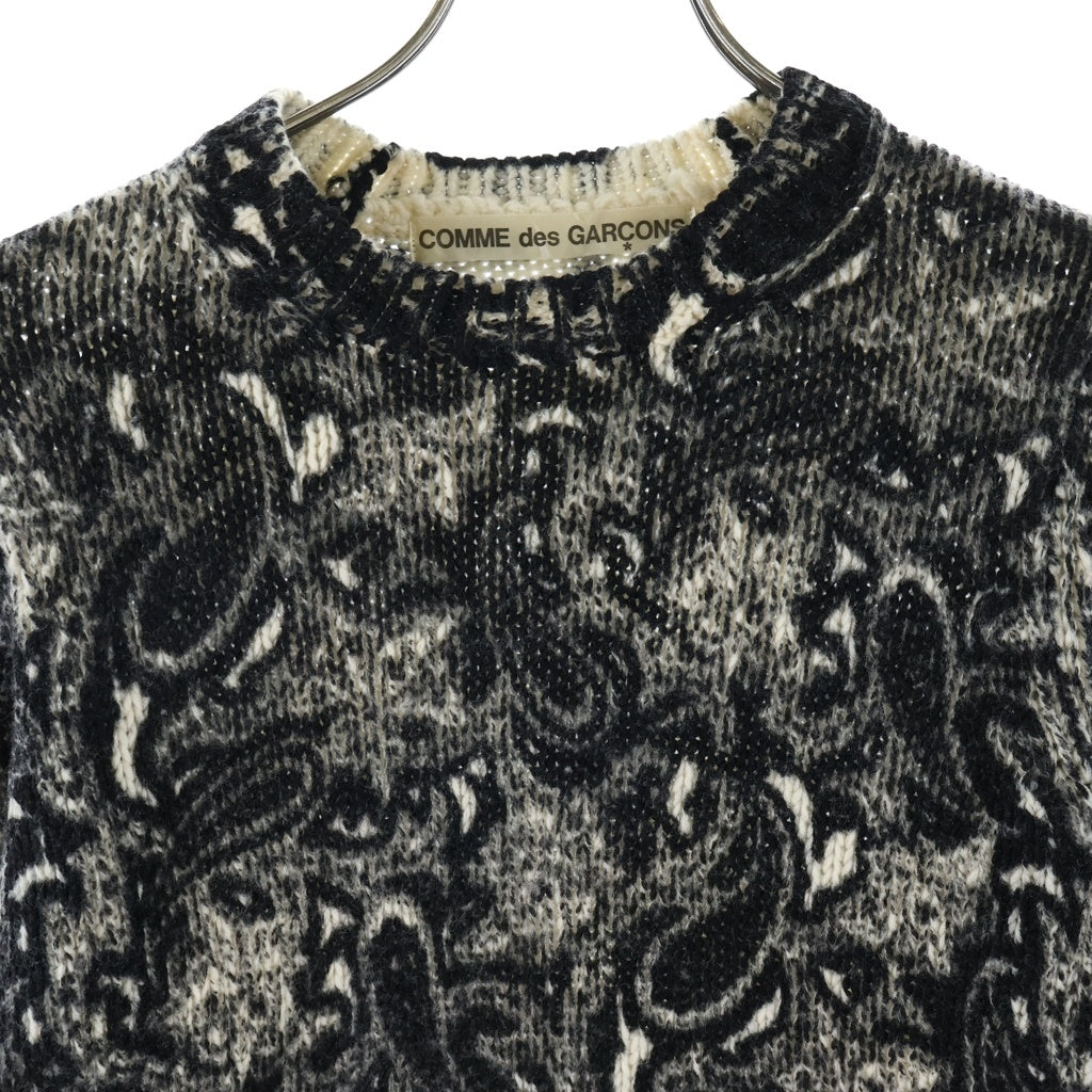 COMME des GARCONS(コムデギャルソン) 00s 01AW ペイズリー GC-N038 ウール ニット レディース