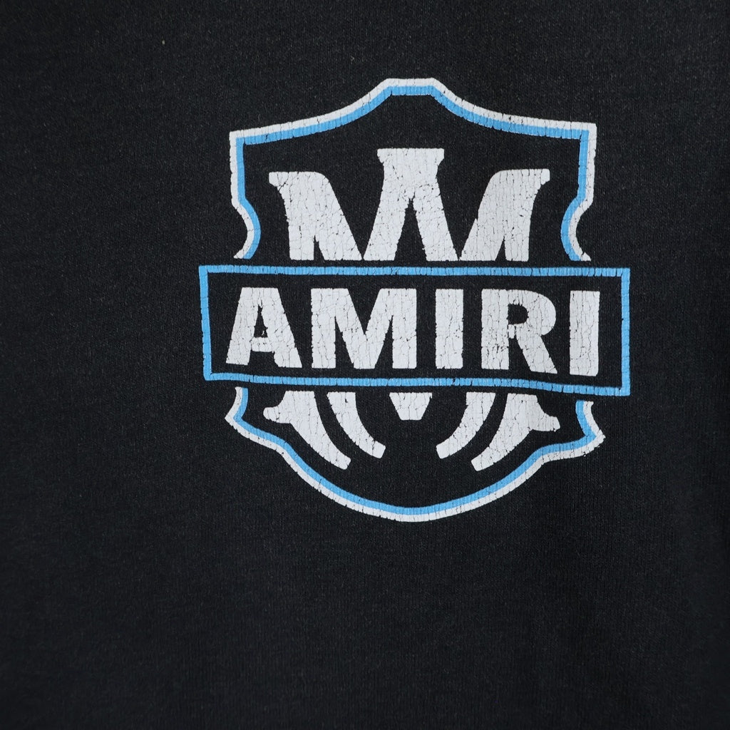 AMIRI(アミリ) Eagle Flames Long Sleeve T-Shirt イーグル アームフレイム 長袖Tシャツ カットソー ブラック AMTOJR1038