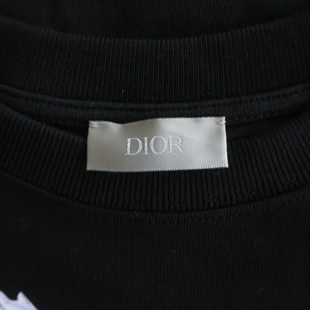 DIOR(ディオール) 19SS × SORAYAMA ソラヤマ フロントプリント 半袖Tシャツ カットソー ブラック 933J602A0554