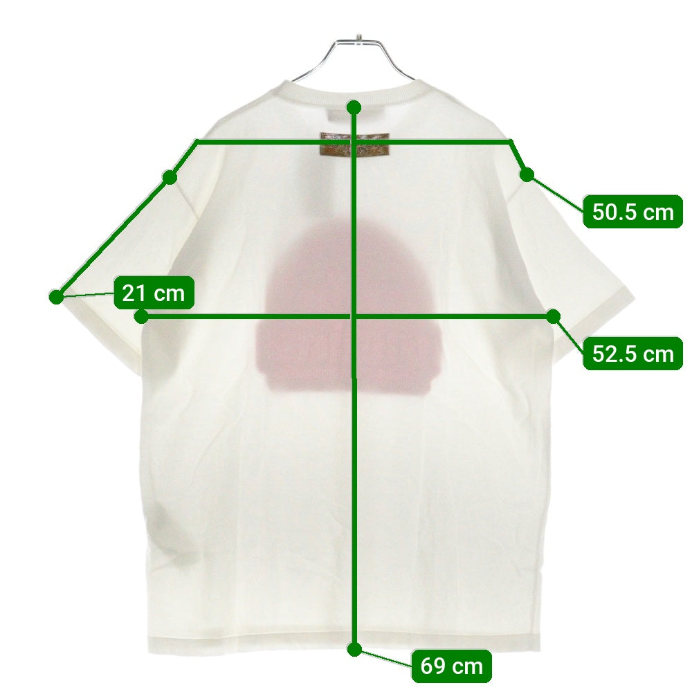 LOUIS VUITTON(ルイヴィトン) 23AW ロゴジャガードニット クルーネック 半袖Tシャツ カットソー ホワイト/ピンク RM232M HA0 HPN30W