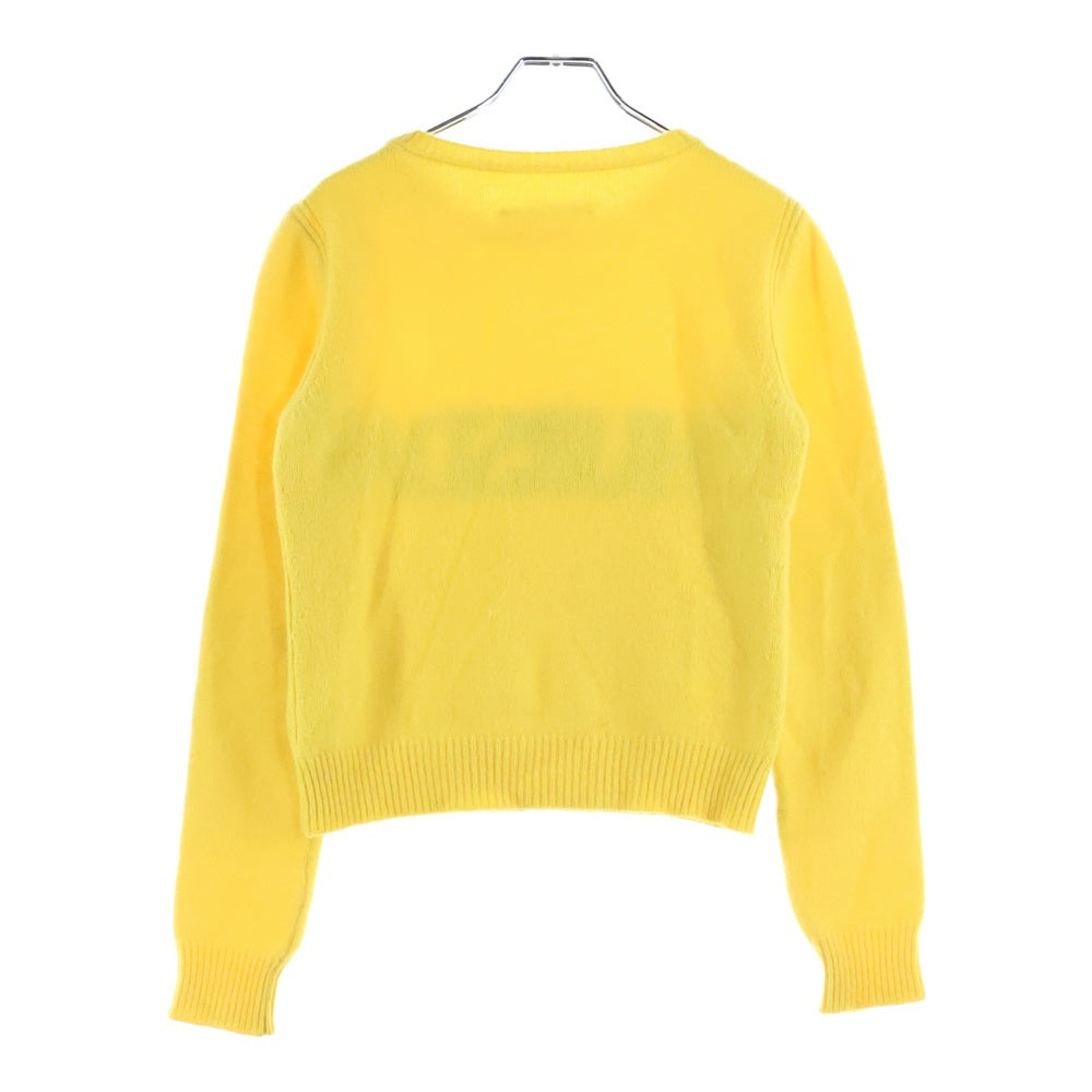 ALBERTA FERRETTI(アルベルタ フェレッティ) ALBERTA FERRETTI アルベルタ フェレッティ THURSDAY サーズデイ ジャガード クルーネック 長袖 ニット セーター イエロー レディース