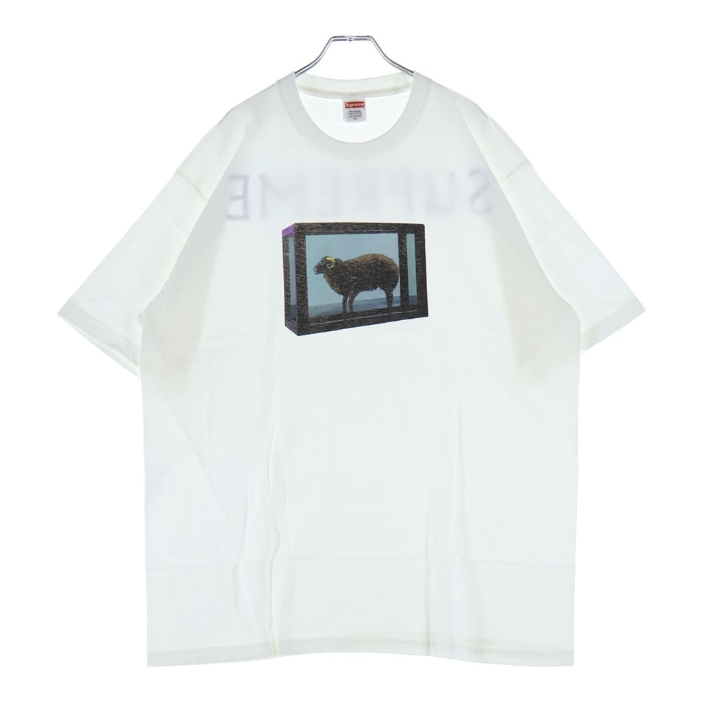 SUPREME(シュプリーム) 25SS Damien Hirst Tee ダミアンハースト プリントロゴ 半袖Tシャツ カットソー ホワイト